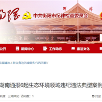 超時、超量、越界采砂！湖南通報6起生態(tài)環(huán)境領(lǐng)域違紀違法典型案例 2起與砂石有關(guān)！