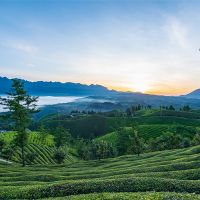 500萬噸/年！湖北儲量約1.12億噸建筑用花崗巖礦擬掛牌出讓