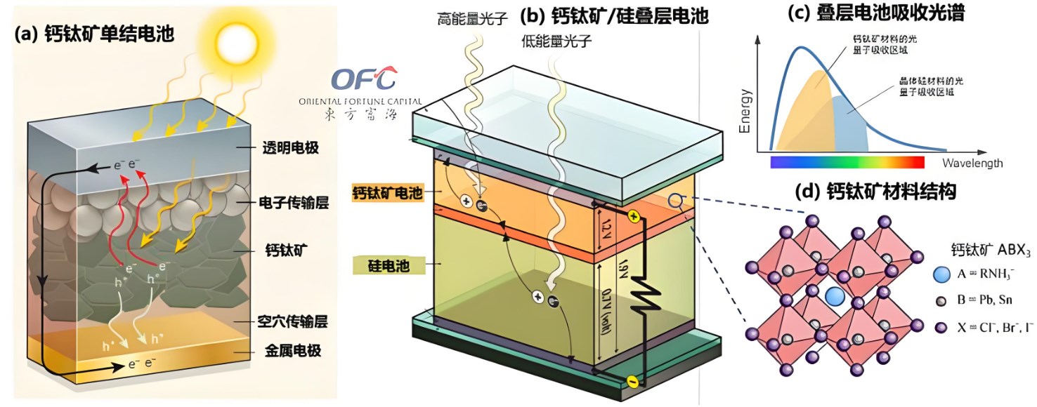 鈣鈦礦太陽能電池結(jié)構(gòu)中的每一層的作用是什么